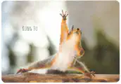 Thumbnail of postcard 'Kung Fu'