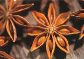 Thumbnail of postcard 'Star Anise'