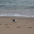 DSC03743.jpeg
