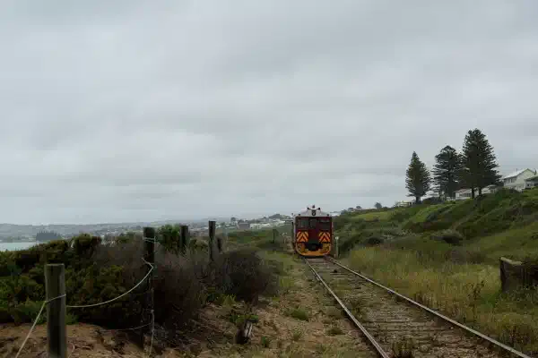 A diesel locomotive heading away from the camera, coastal greenery and a green hill on the right.