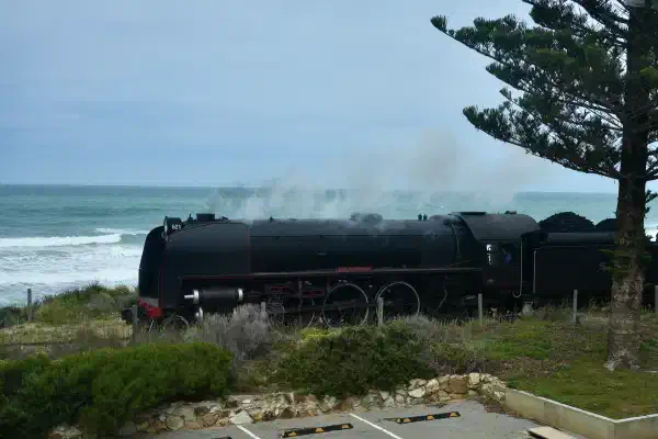A steam locomotive heads right to left, ocean waves are in the background. A tree is on the right.