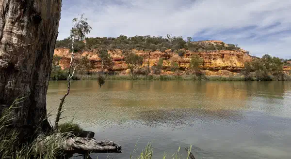 a view of the river from the bank, a tree is on the left. On the far side of the river there is a cliff, with colourful striations