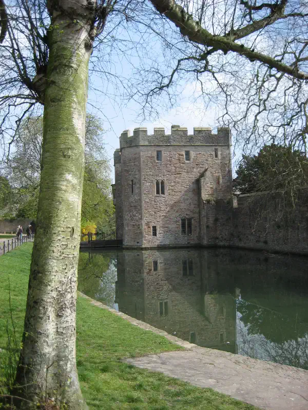 A battlement wall, with tower in the background. A moat is adjacent to it, with green grass on the close side